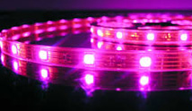 LED